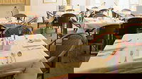 Camberwell Manor SRS