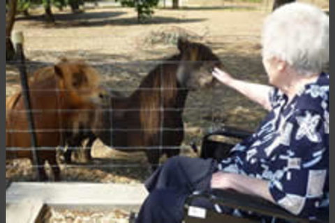 Darlingford Upper Goulburn Nursing Home - Aged Care Find 3