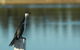 Domain Lakeview - thumb 2
