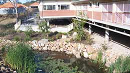 Carindale Brook - Aged Care Find 4