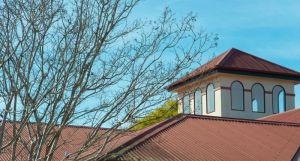 Mary MacKillop - Aged Care Gold Coast 1