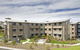Brian King Gardens - thumb 1