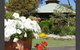 Tabeel Lutheran Home - thumb 0