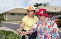 Palmview Village