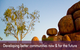 Katherine Hostel - thumb 0