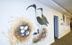 Boneham Aged Care - thumb 0