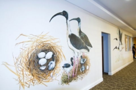Boneham Aged Care - Aged Care Find 0