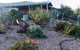 Orroroo Community Home - thumb 0