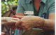 Minnamurra - thumb 1