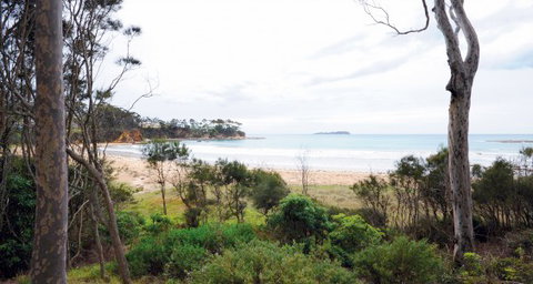 Principal Edgewood Park - Aged Care Find 2