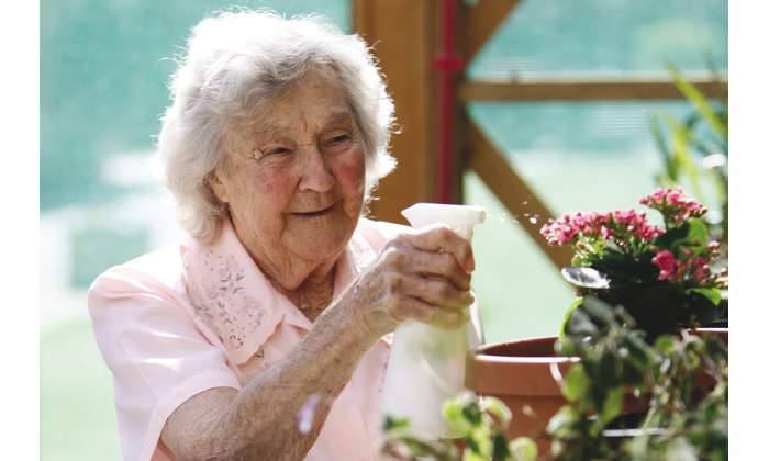 Waverton NSW Aged Care Find