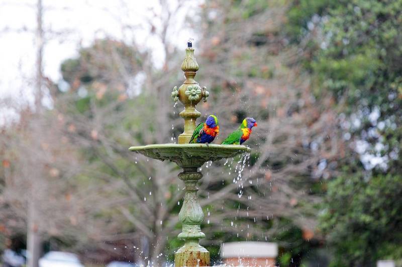 Regis Wentworth Manor Rose Bay